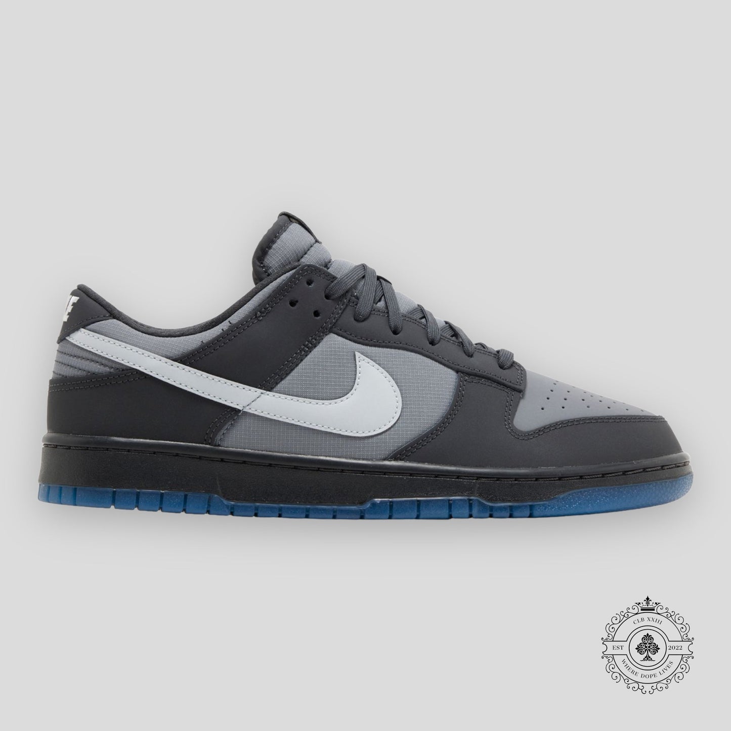 Nike Dunk Low Anthracite