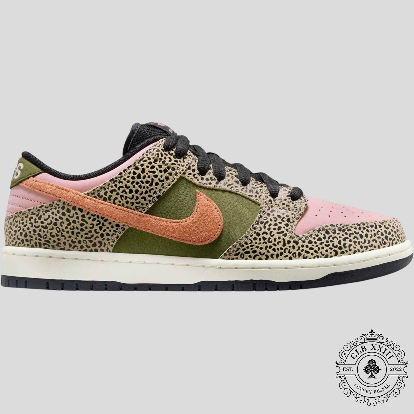 Nike SB Dunk Low Arts-Rec
