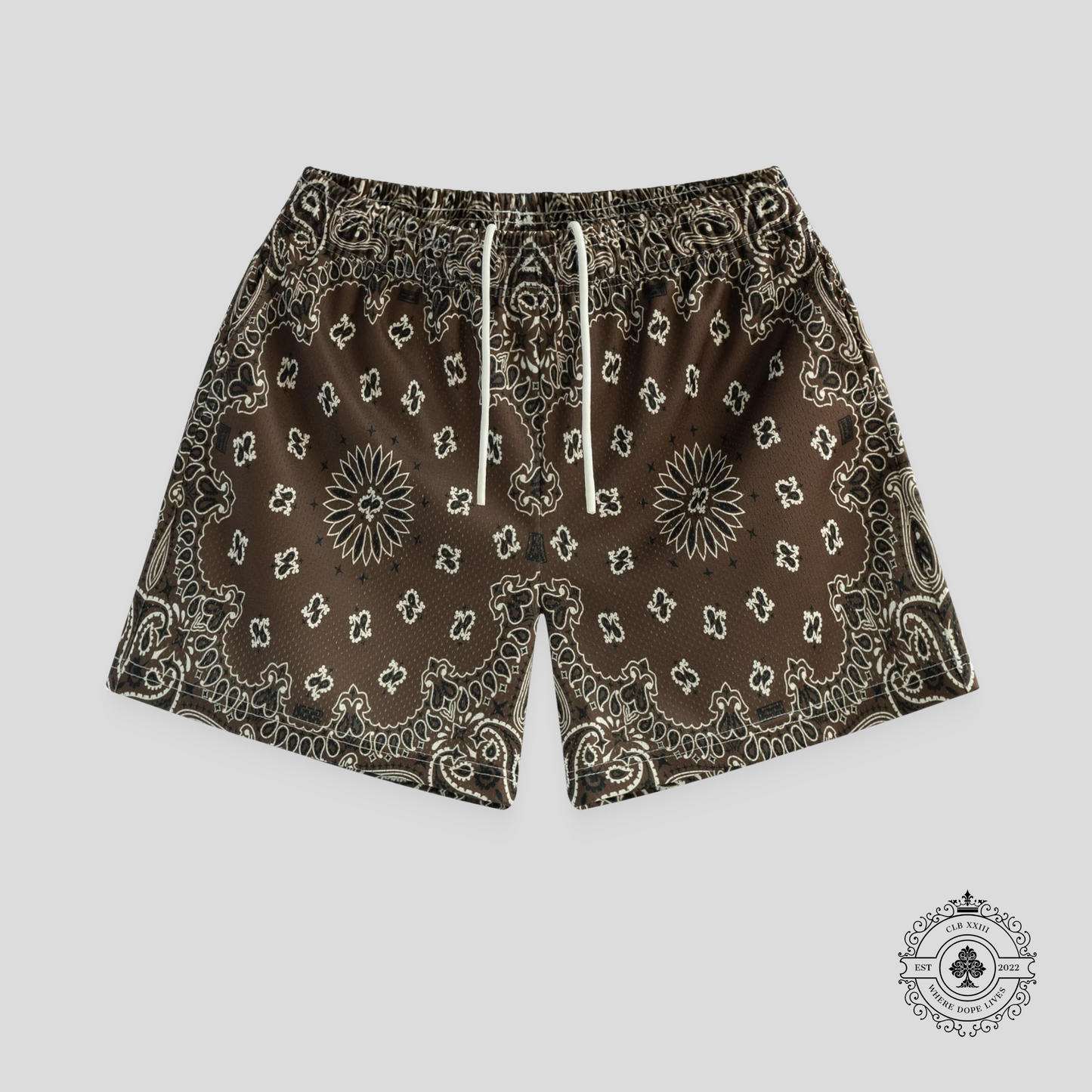 Bravest Studios Baroque Paisley Shorts in Brown