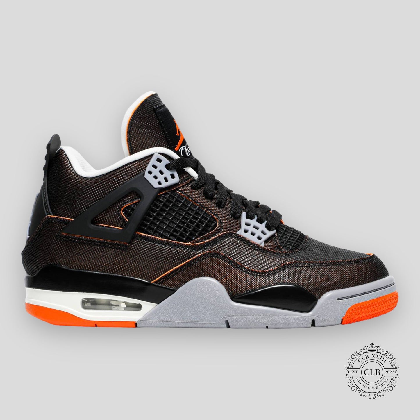 AIR JORDAN 4 RETRO (W) "STARFISH"