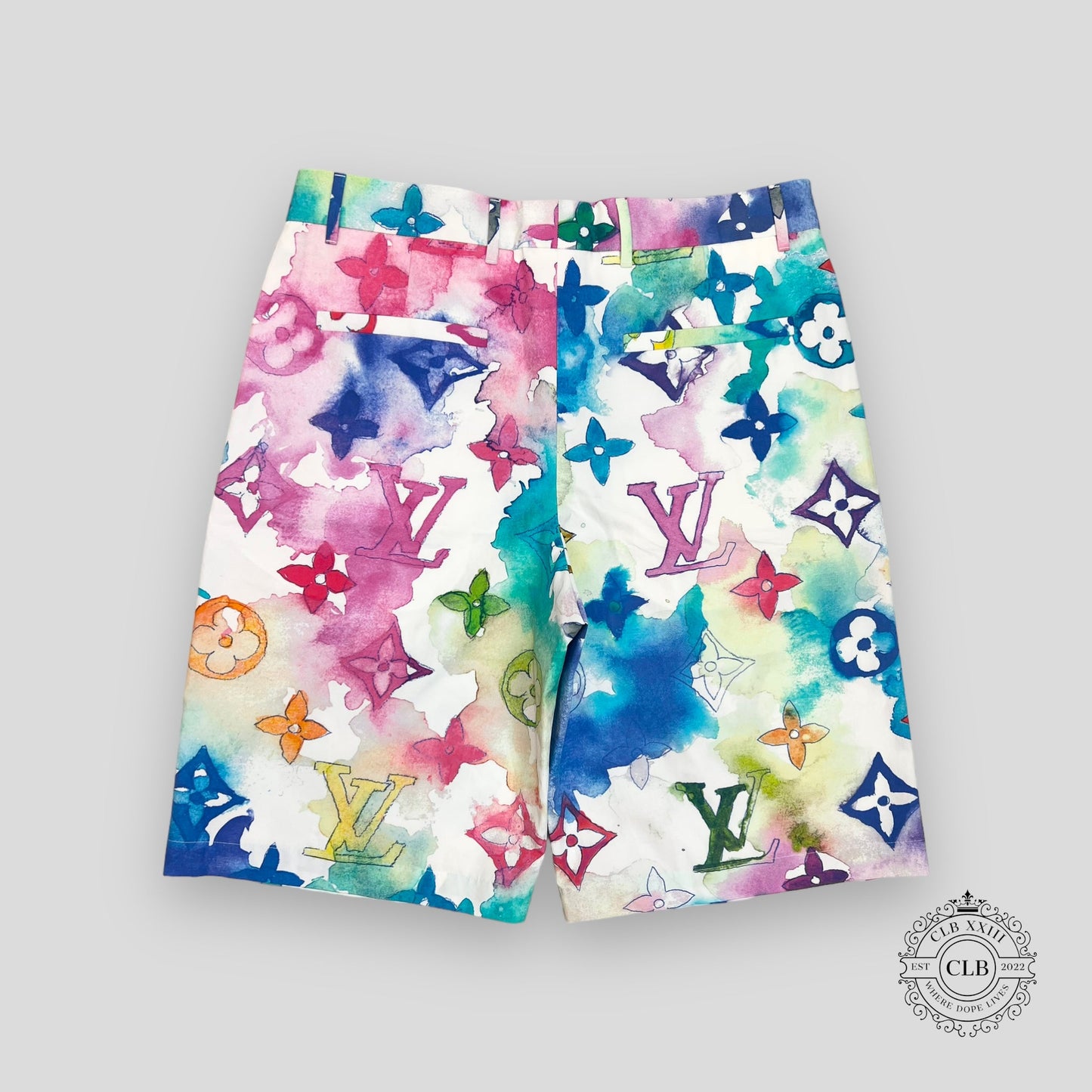 LOUIS VUITTON WATERCOLOR SKATER SHORTS