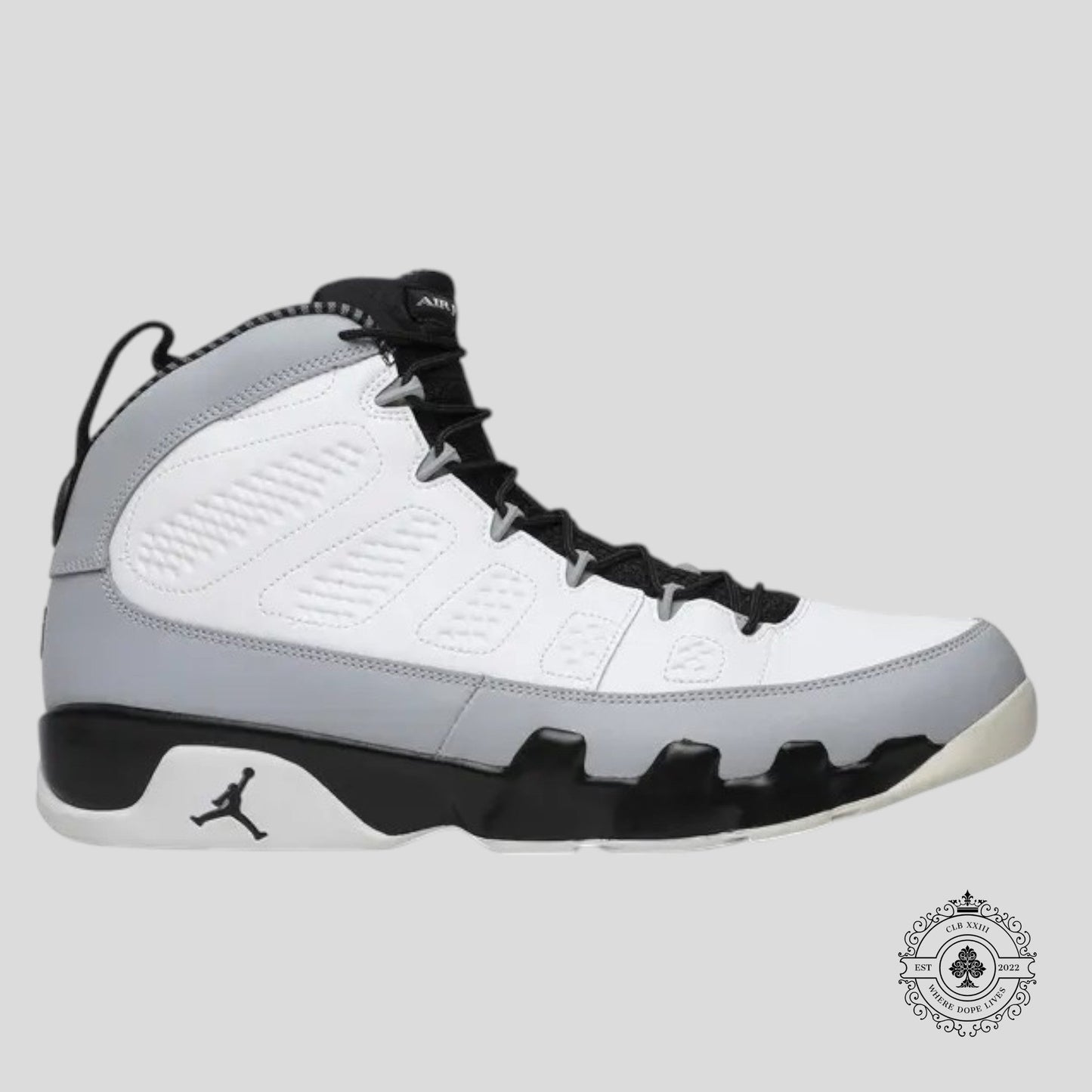 Air Jordan 9 Retro Barons