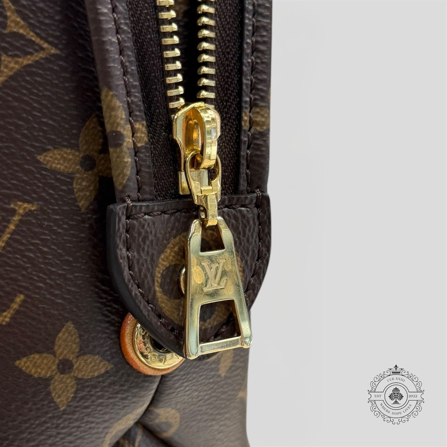 Louis Vuitton Monogram Petit Palais