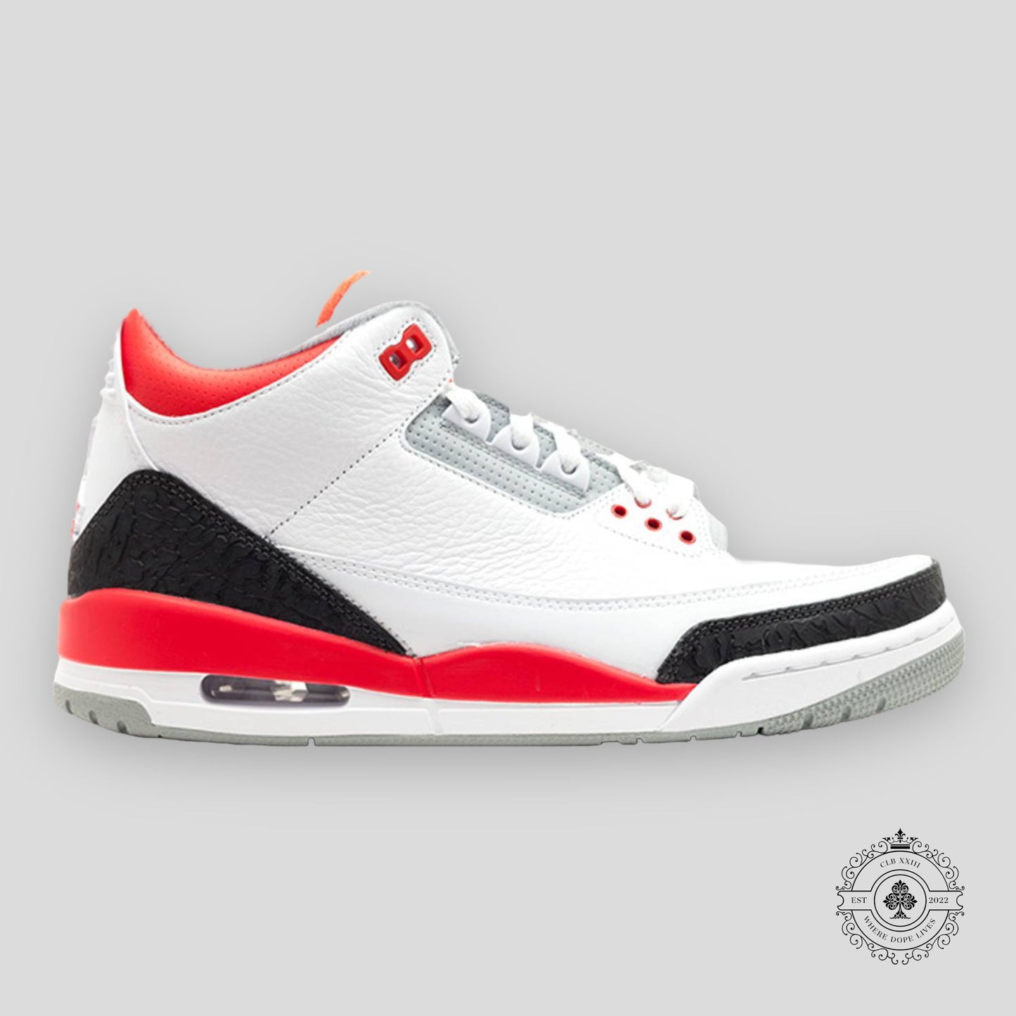 Air Jordan 3 Retro Fire Red 2013
