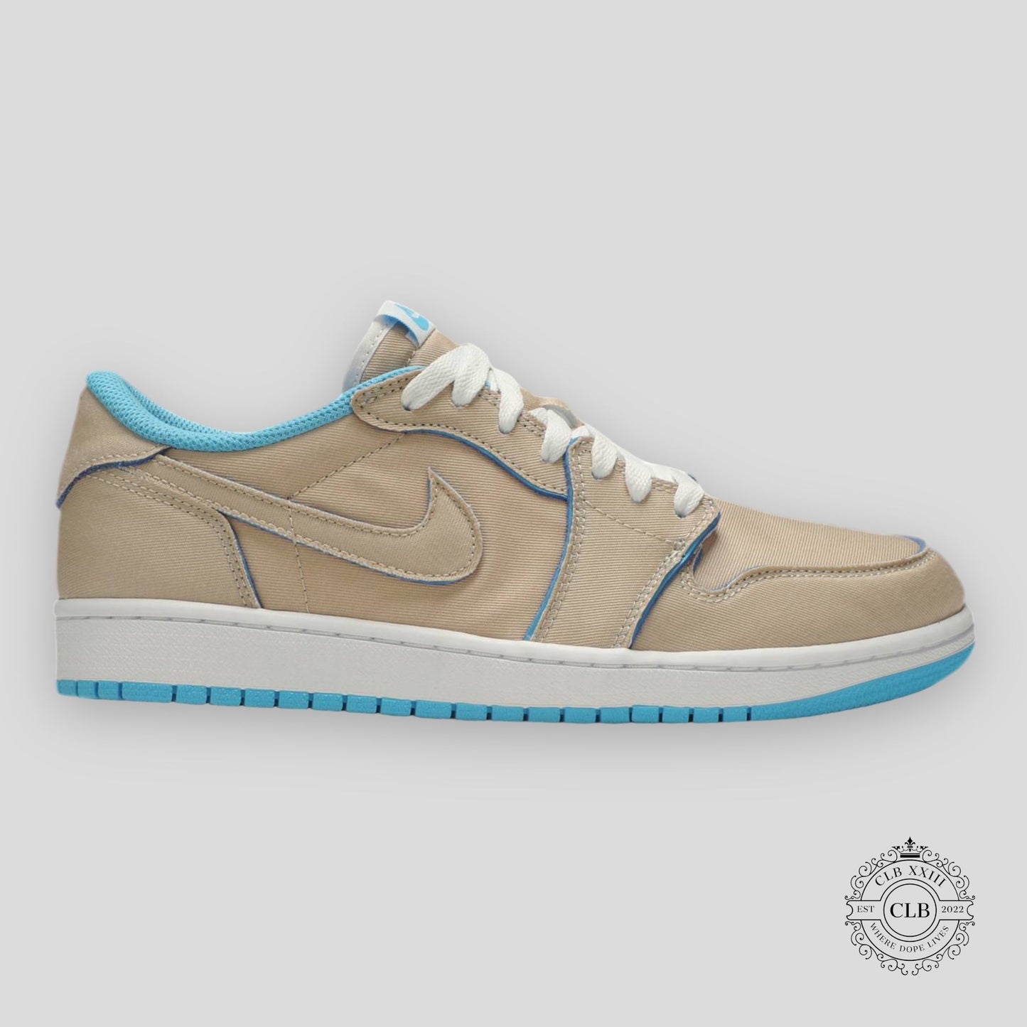 AIR JORDAN 1 LOW SB "LANCE MOUNTAIN"